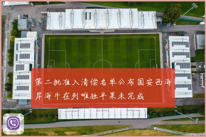 第二批准入清偿名单公布国安西海岸海牛在列唯独平果未完成