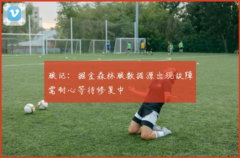 狼记：掘金森林狼数据源出现故障需耐心等待修复中